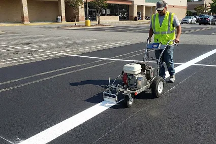 shelby-stripping-image